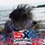 Donna Agripino's profile image