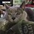 Kelly Smith's profile image