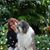 Margaret Korzeniowska's profile image