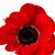 Marlee Windlee's profile image