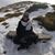 Viviane Hennrich's profile image