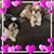 Toni Hernandez's profile image