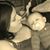 Cheyenne Marie Rose Fitzpatrick's profile image