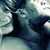 Nicole Joy Stickney's profile image