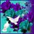 Donna Swisher's profile image