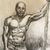 Don Chesak's profile image