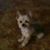 Marsha Fetzer Peter's profile image