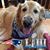 Lorrie Moskwa Morgan's profile image