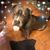Tammy Holladay's profile image