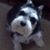 Diane Snyder's profile image