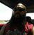 Luis Pulgarin's profile image