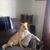 Krissy White's profile image