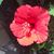 Anthony Arce Jenkins's profile image