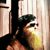 Justin Hammes's profile image