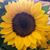 Jenny Arias's profile image