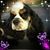 Leanna Mobbs's profile image
