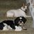 Sally Morini's profile image