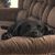 Debbie Wagner DeSabato's profile image