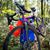 Tanya Rissmiller Hampton's profile image
