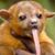 Rhonda Frazier-Evans's profile image