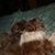Amy N Randy Schott's profile image