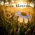 Debbie Perrigo's profile image