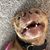 Christi Erickson's profile image