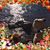Molly Feichtel's profile image
