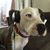 Cristina Alcaide Blanco's profile image