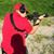 Daren Belsterli's profile image