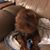 Christine Schultz's profile image
