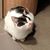 Chrystal Hartmire's profile image