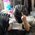 Eduardo Andres's profile image