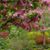 Sandra Johnson's profile image