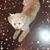 Rhonda Neal Raven's profile image