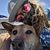Stacy Decker's profile image