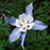 Laura Phillips's profile image