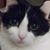Ann Comas-Thompkins's profile image
