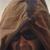 Fabio Giomblanco's profile image