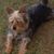 Janice Green's profile image