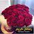 Hamed Alqizwini's profile image