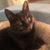 Sheri Lyn Barry's profile image