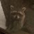 Ken Bowman's profile image