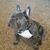 Karie Byer's profile image