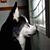 Keshav Ramchurn's profile image