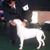James Fagg's profile image