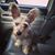 Heidi Powell's profile image