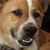 Maggie Mae Duke's profile image