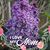 Wendy Gower's profile image