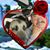 William O'Connor's profile image